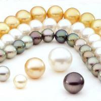 South Sea Pearls